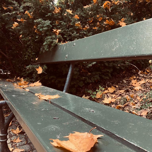 Można walczyć albo się pogodzić.